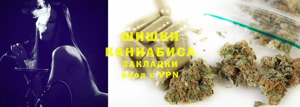 ПСИЛОЦИБИНОВЫЕ ГРИБЫ Белокуриха