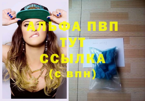 ПСИЛОЦИБИНОВЫЕ ГРИБЫ Белокуриха
