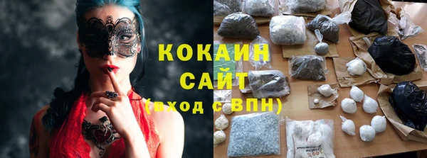 ПСИЛОЦИБИНОВЫЕ ГРИБЫ Белокуриха