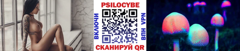 ссылка на мегу сайт  Отрадное  Псилоцибиновые грибы Cubensis  дарнет шоп 